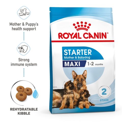 ROYAL CANIN MAXI Starter für tragende Hündin und Welpen großer Rassen 2x15kg