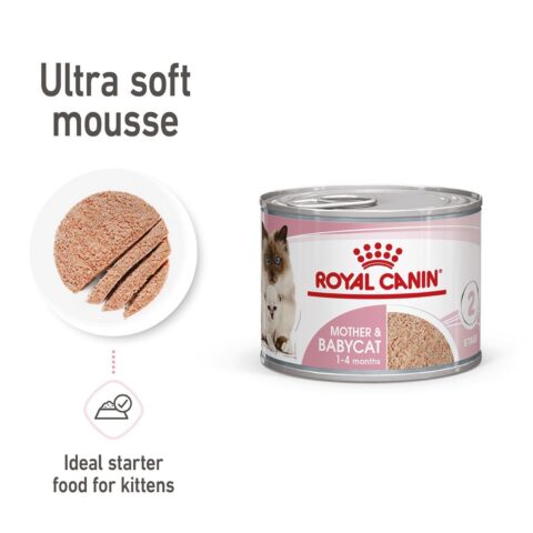 ROYAL CANIN MOTHER & BABYCAT Mousse für tragende Katzen und Kitten 12x195g