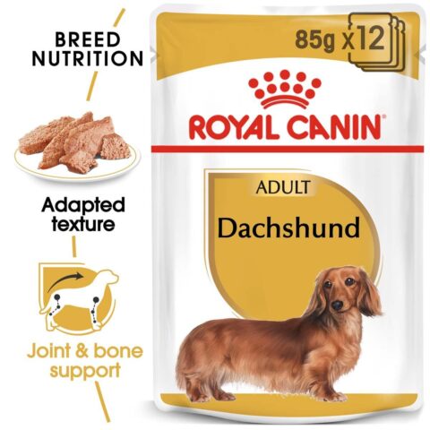 ROYAL CANIN Dachshund Adult Hundefutter nass für Dackel 12x85g
