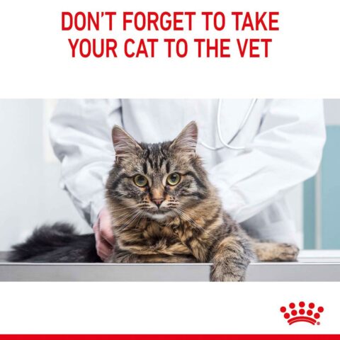 Royal Canin FCN Appetite Control 2kg