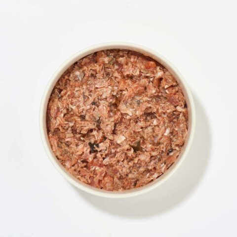Lachs pur (500g) | haustierkost.de | Reich an Omega-3 & -6 | Ideal für BARF-Ernährung von Hunden & Katzen | Hypoallergen