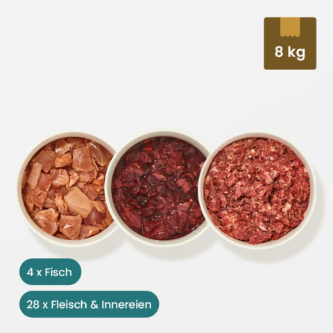 Probierpaket für Katzen 1
