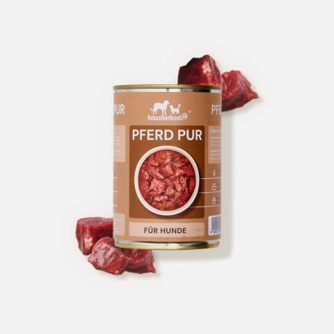 Pferd pur