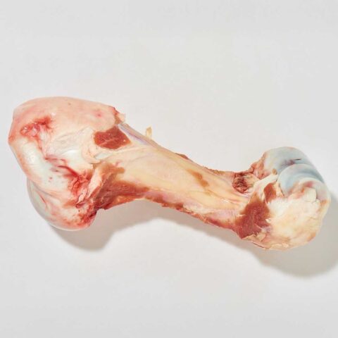 Kalbsröhrenknochen (1 Stück, ca. 1,2kg) | haustierkost | Naturbelassener Kauknochen für Hunde | Beschäftigung & Zahnpflege | Roh & tiefgefroren