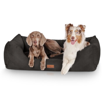 Knuffelwuff Hundebett Dreamline aus Velours schwarz XL