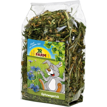 JR Farm Spitzwegerich 500 g
