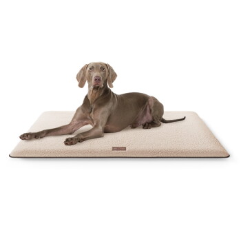 Knuffelwuff kuschelige Hundematte Calliope aus Teddy Material beige XXL