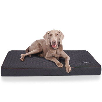 Knuffelwuff Orthopädische Hundematte Juna aus laser-gestepptem Kunstleder schwarz XXXL