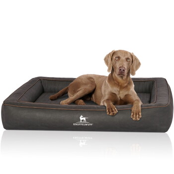 Knuffelwuff Orthopädisches Hundebett aus Laser gestepptem Kunstleder Montego schwarz XXL