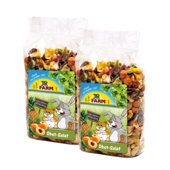 JR Farm Obst Salat 2×600 g