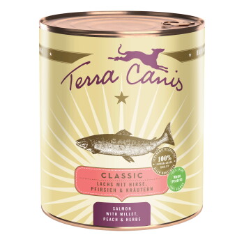 Terra Canis Nassfutter Hund Classic Adult Lachs 6×800 g